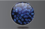Blue Solar Fairy Lights