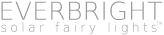 Everbright Fairy Lights