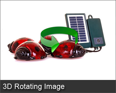 Solar Ladybirds 3D Rotating Image