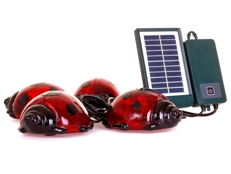 Solar Ladybirds (4 Pack)