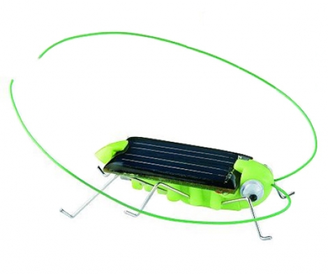 Solar Crazy Cricket Toy