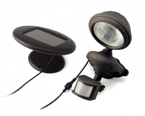 Solar Motion Security Light