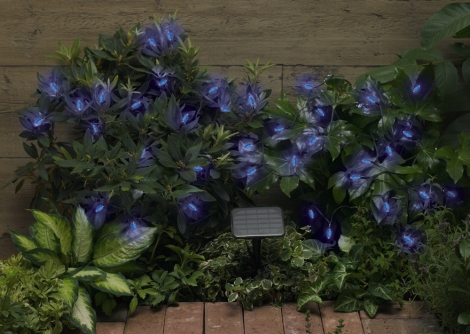 Solar Powered Fairy Lights - 50 LED Flower Bud Lights
