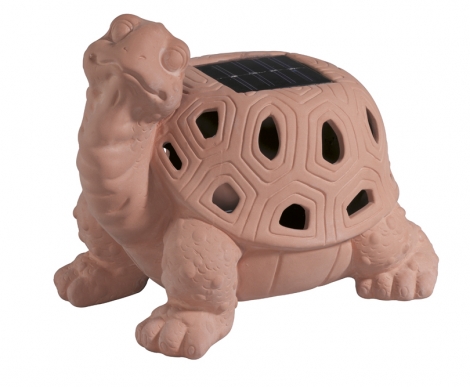 Alice the Turtle