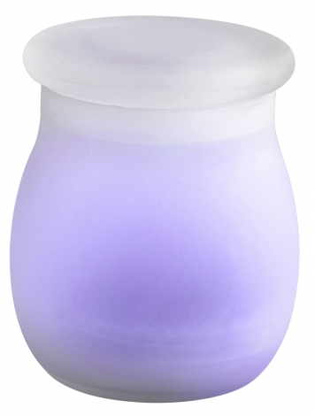 Solar Glass Jar Light