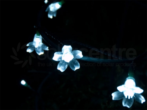 Solar Fairy Light Attachments - Flower x 50