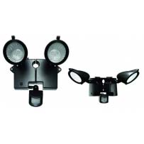 Duo Solar Security Light