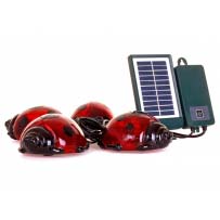 Solar Ladybirds (4 Pack)
