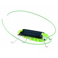 Solar Crazy Cricket Toy