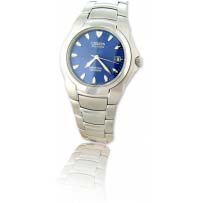 Citizen Gents Eco-Drive Perpetual Calendar Watch