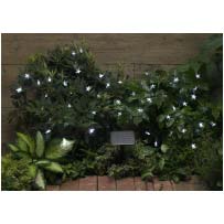 Solar String Lights