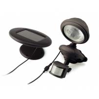 Solar Motion Security Light