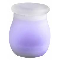 Solar Glass Jar Light
