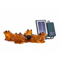 Solar Frogs (Set of 4)