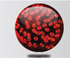 Red Solar Fairy Lights