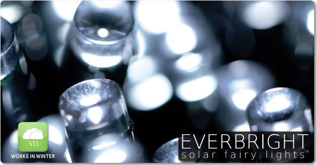 Everbright Solar Fairy Lights