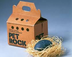 Yes, I had a Pet Rock as a teenager. I even put boggle eyes on it.