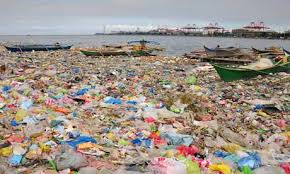 Pollution Caused by Plastic Bag