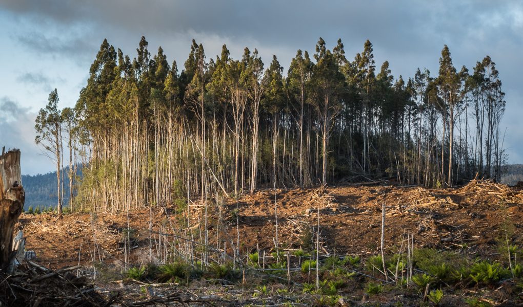 Incredible images show potentially catastrophic effects of wildfires near major cities