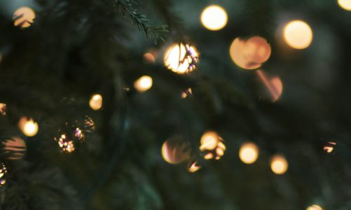 The Best Outdoor Christmas Lighting