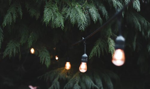 Five Tips To Cut Costs This Winter Utilising Solar Lighting