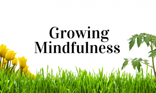 Growing Mindfulness: The Intersection of Gardening and Mental Health Awareness