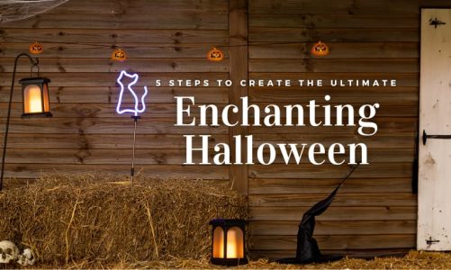 5 Simple Steps To Create The Ultimate Halloween Garden