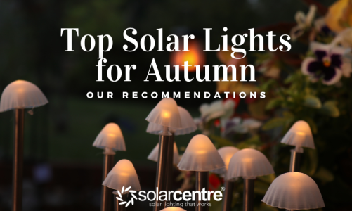 The Top Solar Lights for Winter and Christmas: Our Recommendations