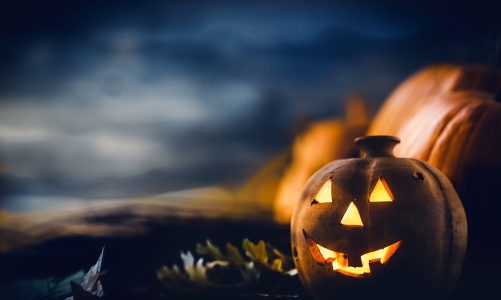 Halloween Lighting Ideas to Transform Your Garden