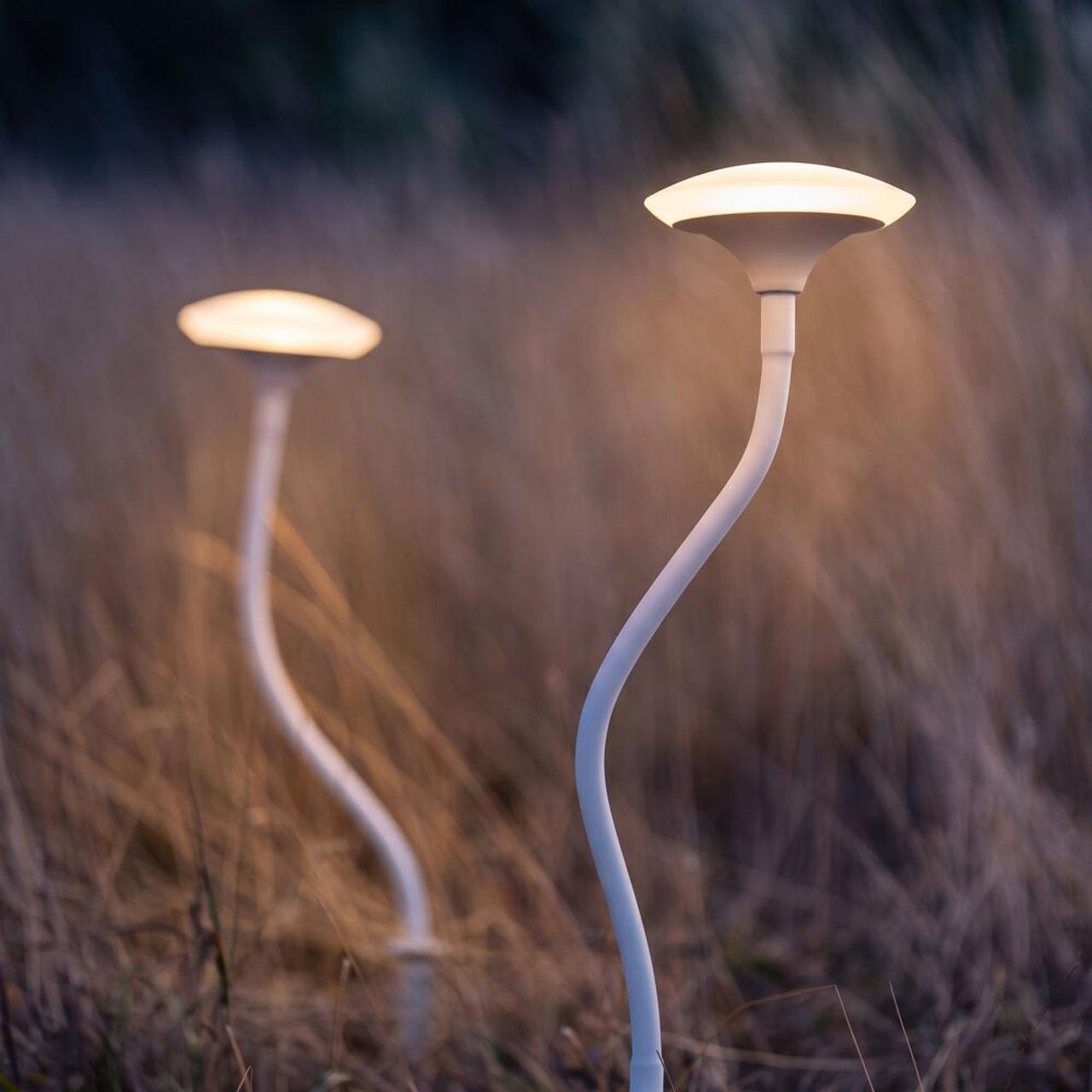 Enoki Solar Mushroom (Set of 2) view 4