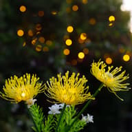 Florin Solar Flower Light - Yellow