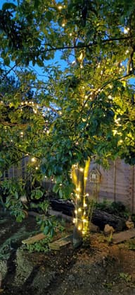 Lumify Warm White & White USB Solar Fairy Lights - 300 DualWhite LEDs customer photo view 4