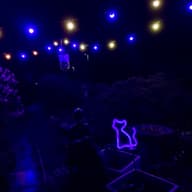 UrbanSolar Neon Lights - Cat customer photo view 1