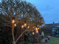 Edinburgh USB Solar Festoon Lights (Set Of 10) With Leaf Panel customer photo view 1