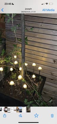 Elan Solar Mushroom Lights - Set Of 12 customer photo view 2