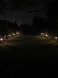Lavenham Solar Garden Lights - 4 Pack customer photo view 6