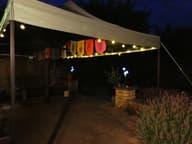 Elan Solar Dandelion Lights - Set Of 30 customer photo view 1