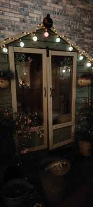 Elan Rope Festoons Solar Lights customer photo view 1