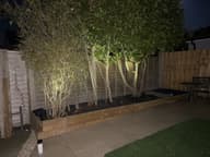 Atlas Solar Spotlights (Set Of 4) customer photo view 1