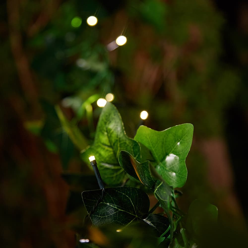 Elan Solar Ivy Lights - 20 LEDs supporting image 1