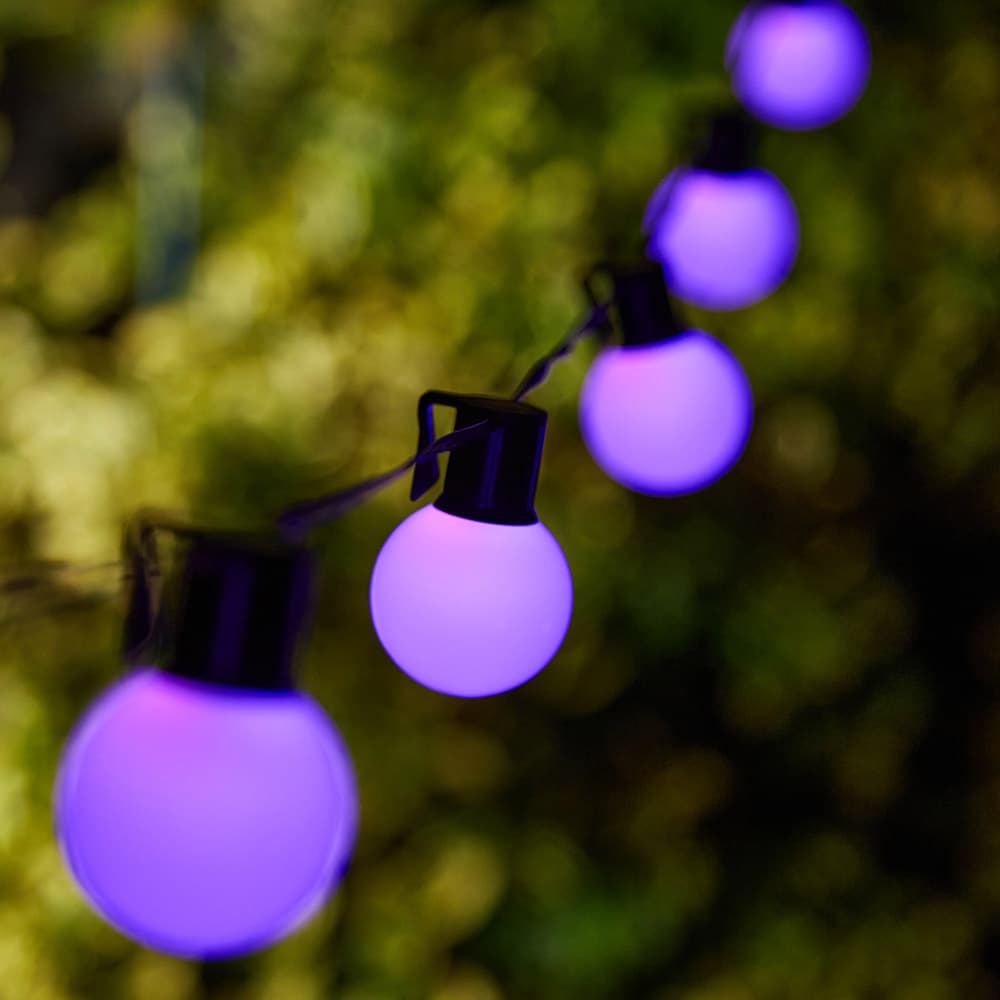Sophia Solar Smart Festoons (Set Of  25) key features