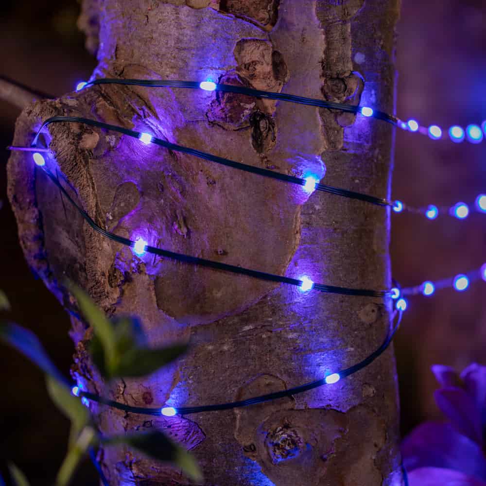 Snowdrop Solar USB Lights (Set Of 50 LEDs) key features