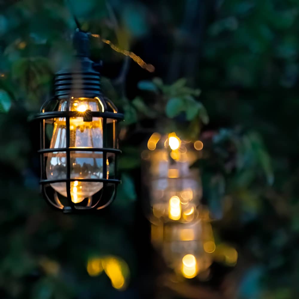Elan Festoon Cage Solar Lights (Set of 10) supporting image 1