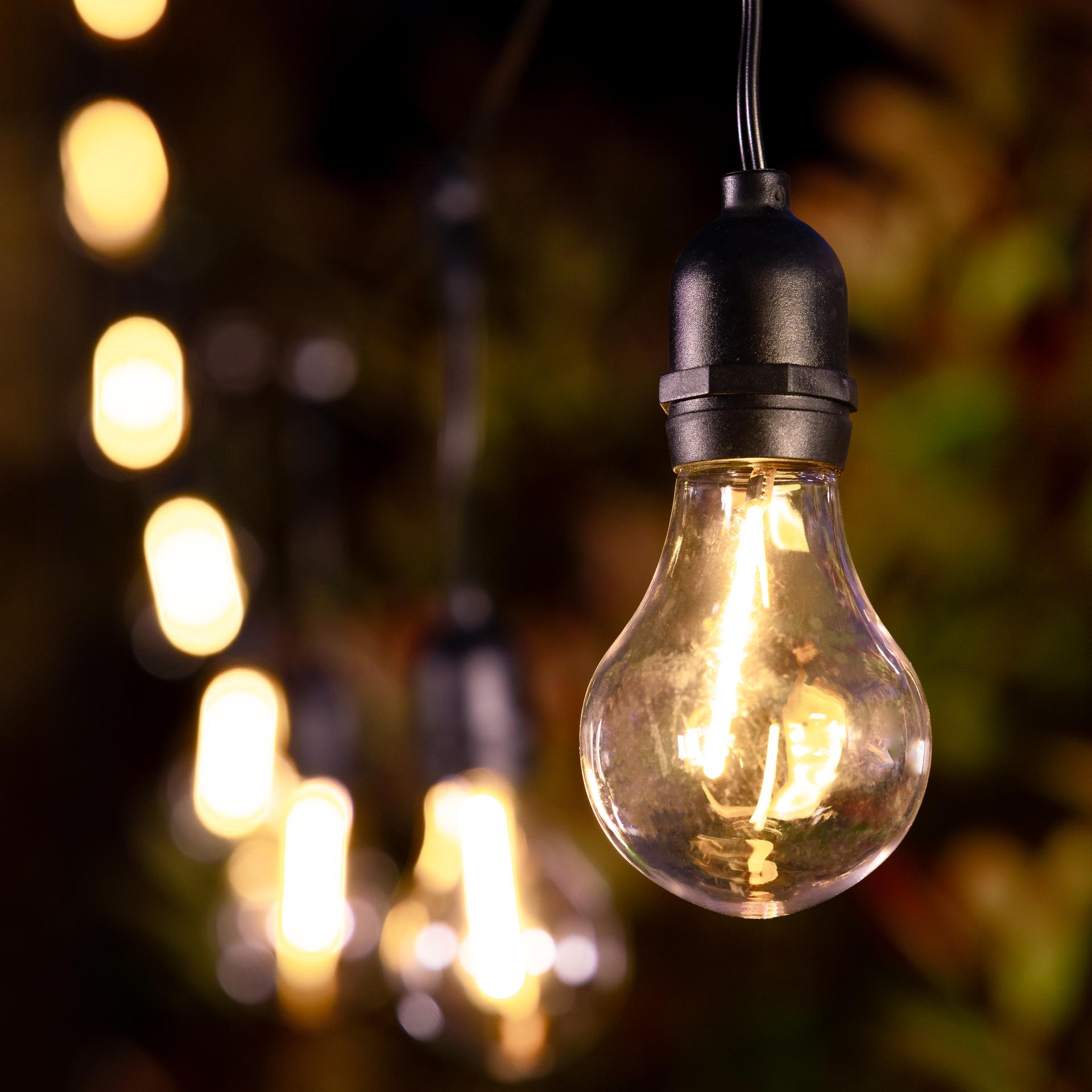 Lance Solar Festoon Lights (Set Of 10) key features