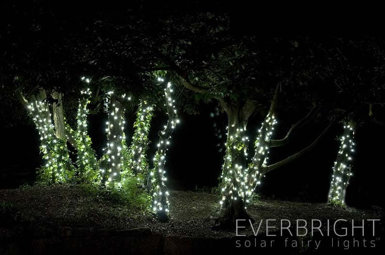 Everbright Solar Fairy Lights - Multi 300 LEDs supporting image 1