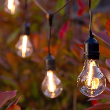 Lance Solar Festoon Lights (Set Of 10)