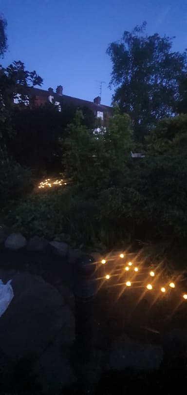 Customer photo of Elan Solar Mushroom Lights - Set Of 12