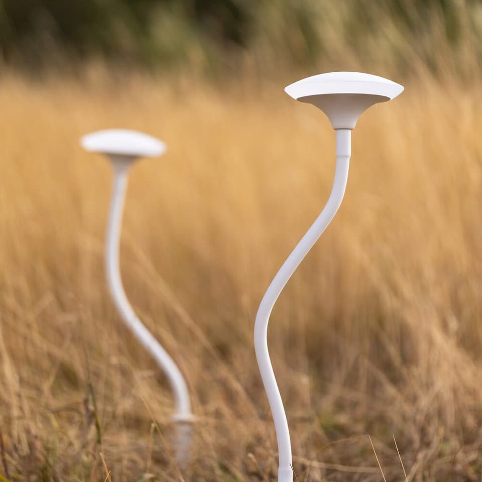 Enoki Solar Mushroom (Set of 2) view 3