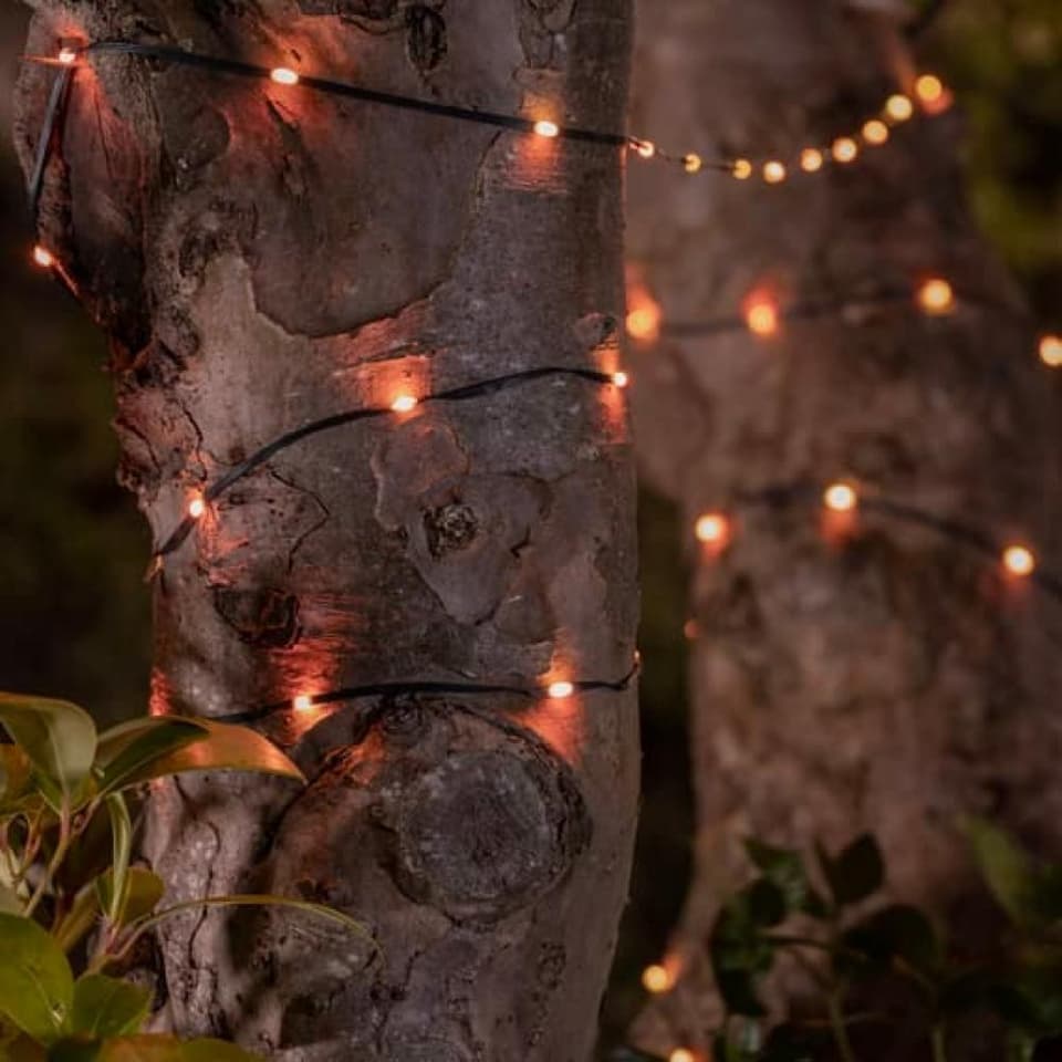 Snowdrop Solar USB Lights (Set Of 50 LEDs) view 1