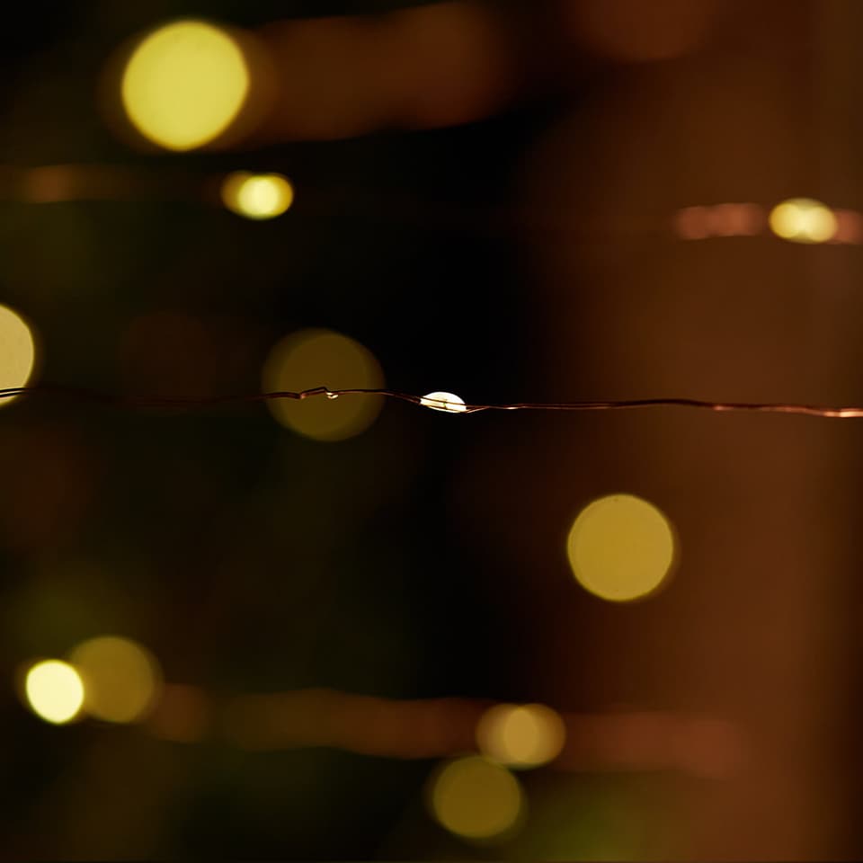 Elan Solar Copper Wire Lights - 100 LEDs view 3